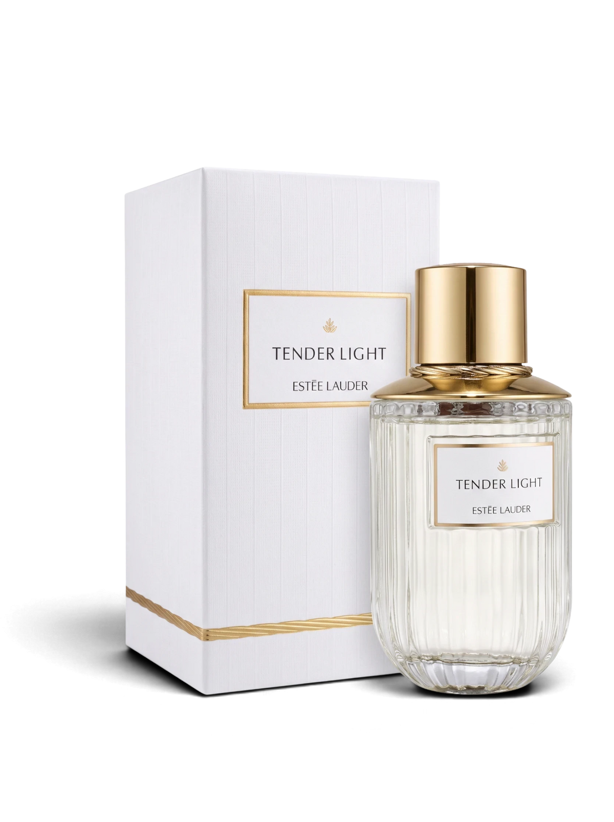 euaden Estée Lauder Tender Light kadın parfümü, altın kapaklı şık cam şişesi ve beyaz kutusu ile