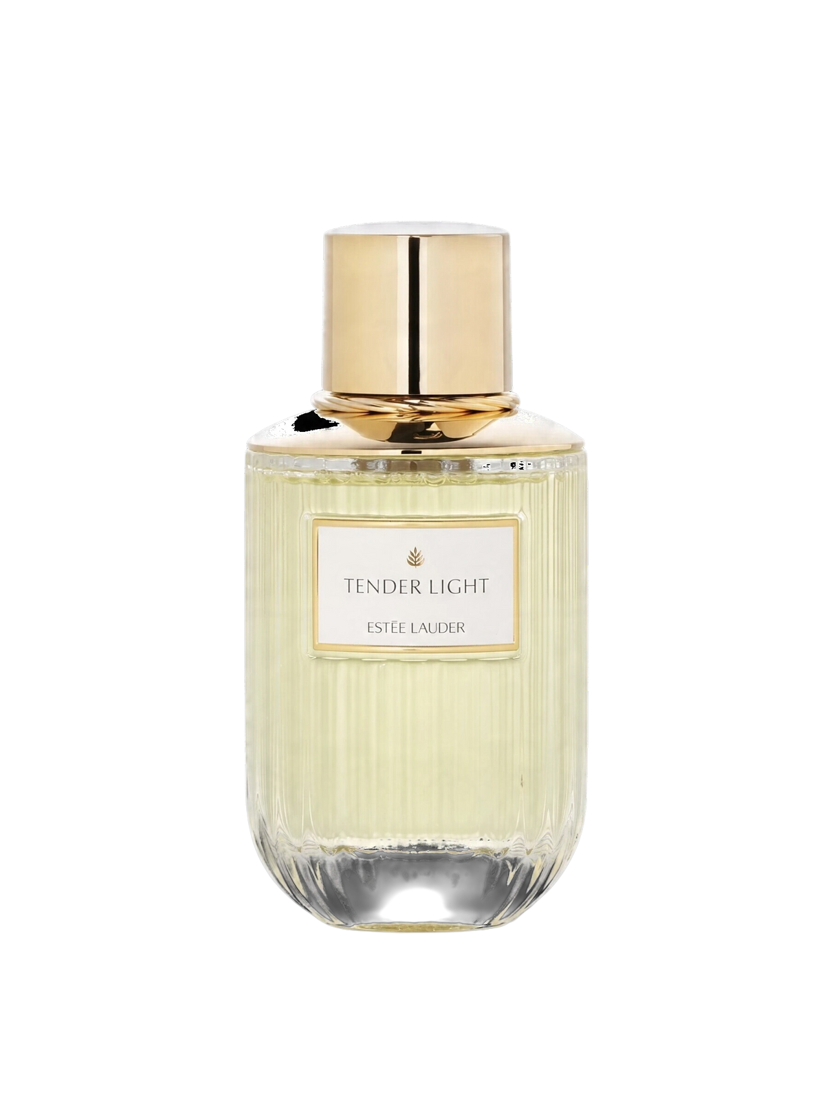 euaden Estée Lauder Tender Light kadın parfümü, altın kapaklı şık cam şişesi ve zarif tasarımıyla 100 ml