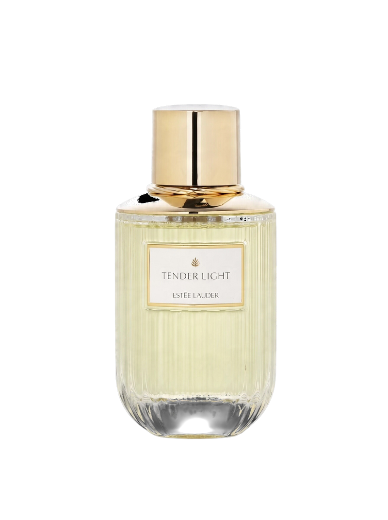 euaden Estée Lauder Tender Light kadın parfümü, altın kapaklı şık cam şişesi ve zarif tasarımıyla 100 ml