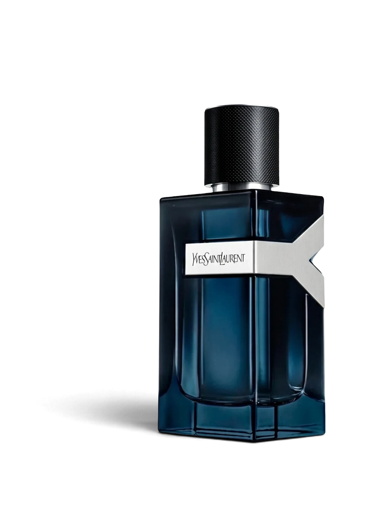 euaden YVES SAINT LAURENT Y Intense erkek parfümü, koyu lacivert cam şişesi ve ikonik gümüş Y logosu ile